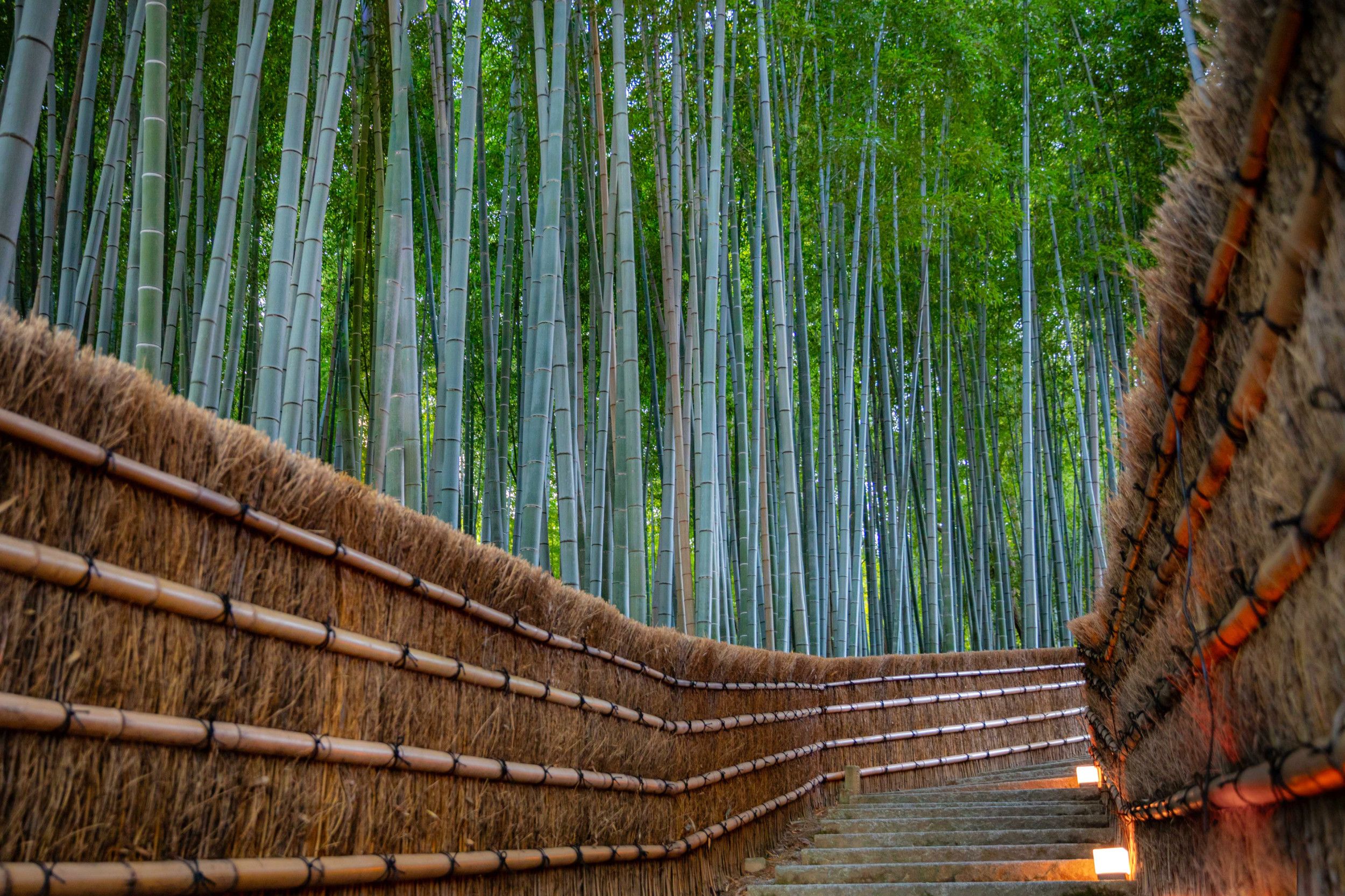 卍 능인사 (노닌지) 이미지 8